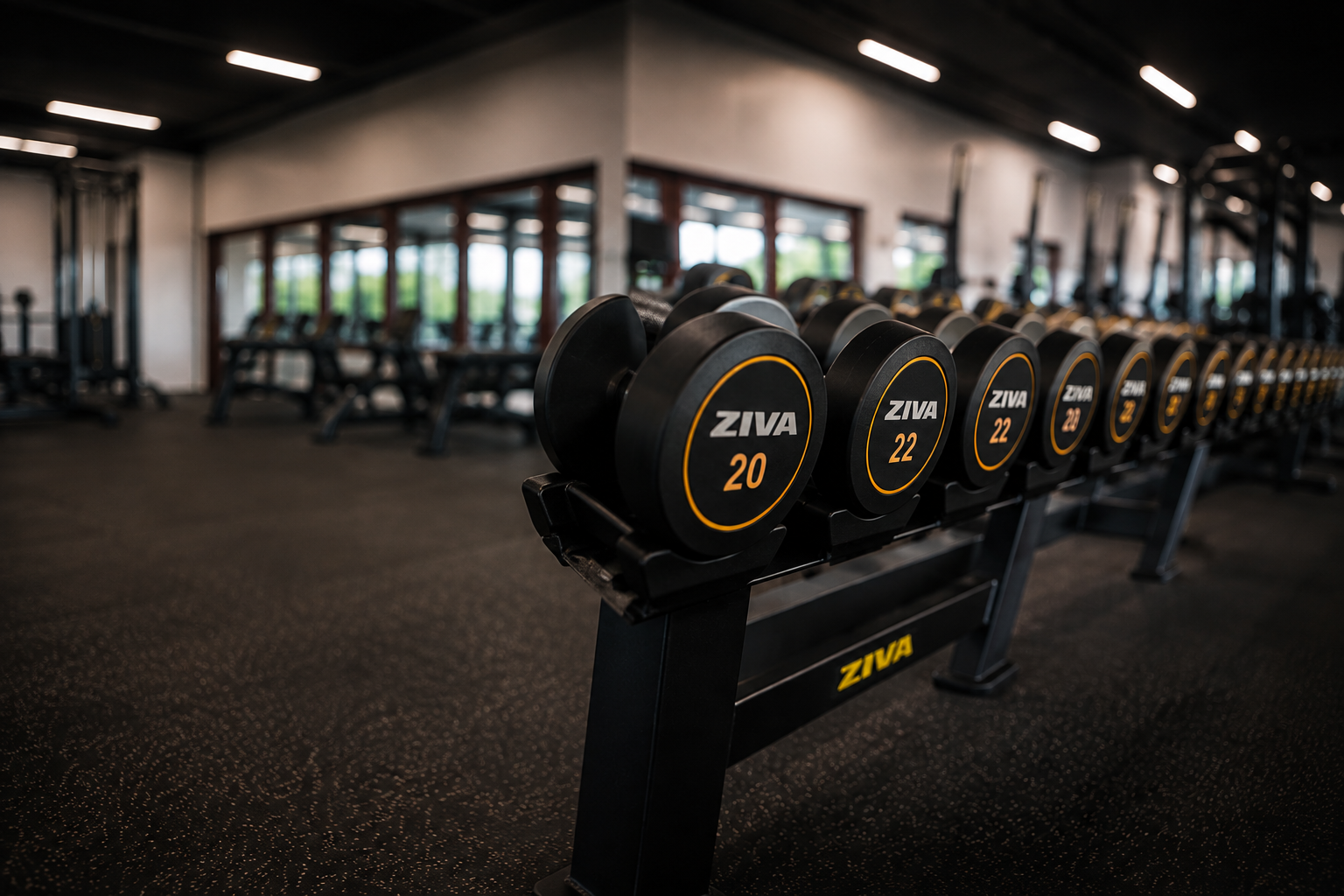 Sala diàfana de XPAI Fitness amb llum natural